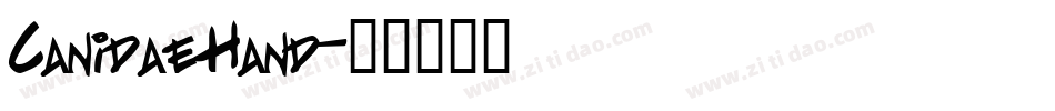 Canidae Hand字体转换